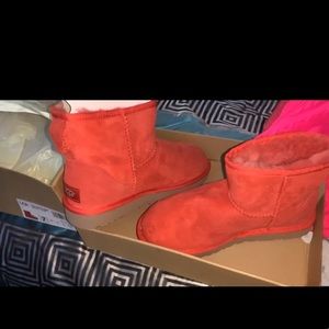 Brand New Mini Uggs